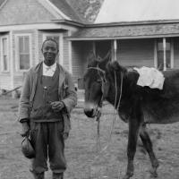 Black man stands next to a donkey